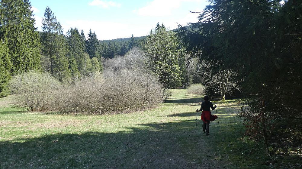E1 Marsberg bis Schweinsbühl 