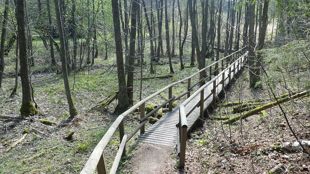 E1 Marsberg bis Schweinsbühl 