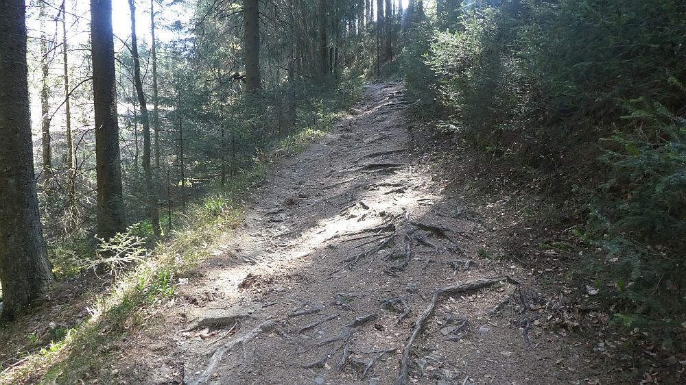 E1 Marsberg bis Schweinsbühl 