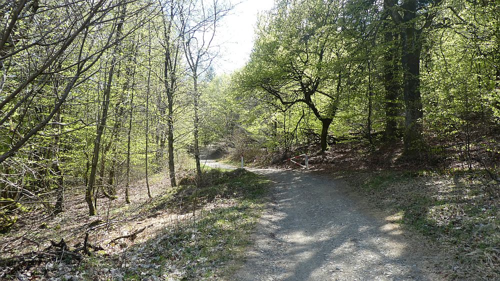 E1 Marsberg bis Schweinsbühl 