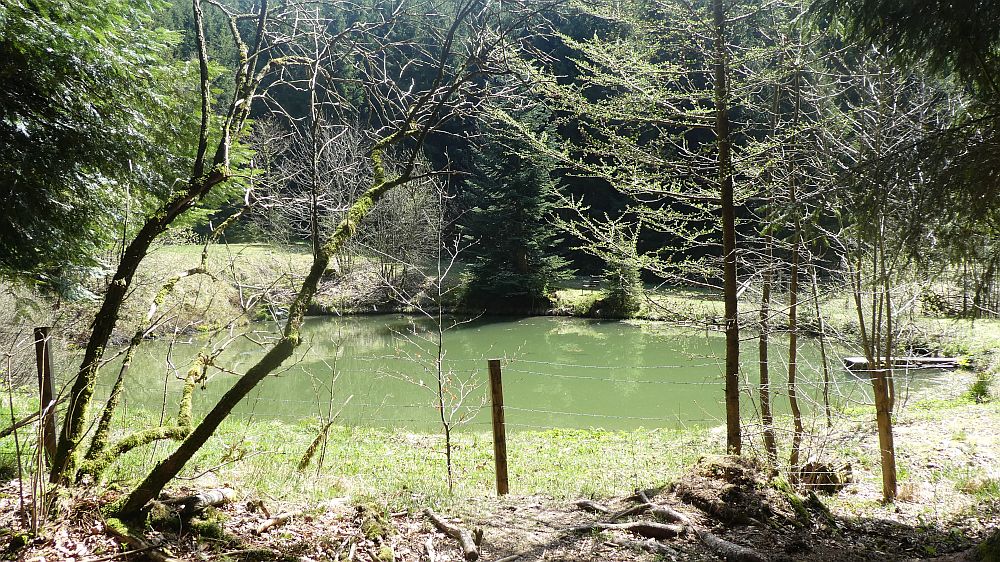 E1 Marsberg bis Schweinsbühl 