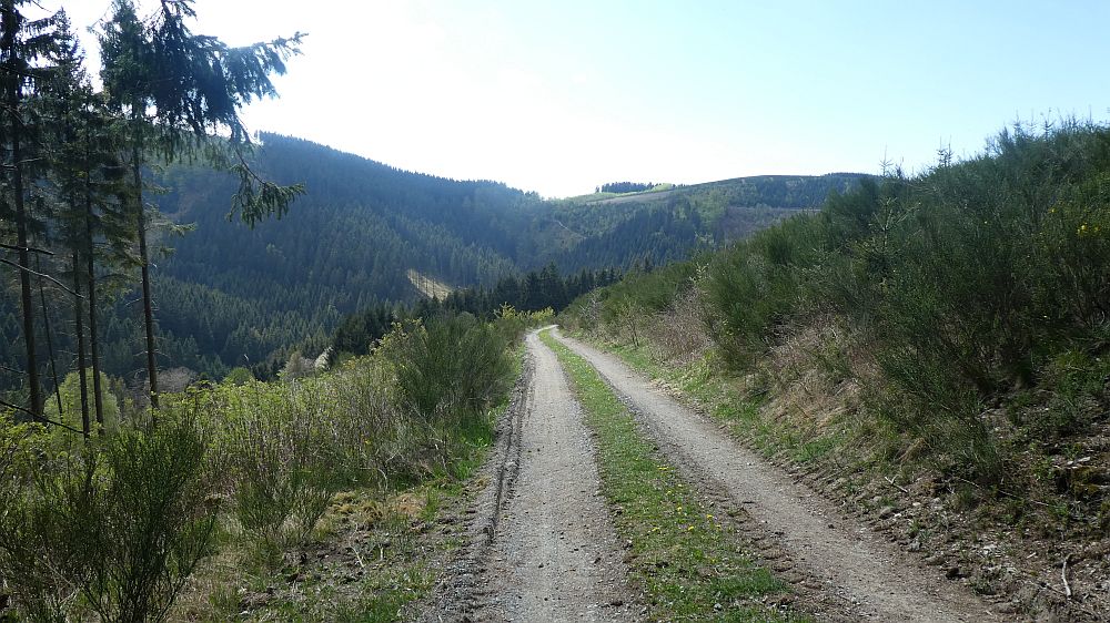 E1 Marsberg bis Schweinsbühl 