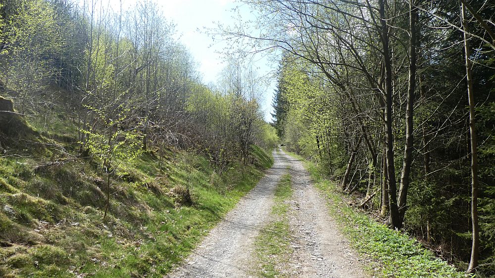 E1 Marsberg bis Schweinsbühl 