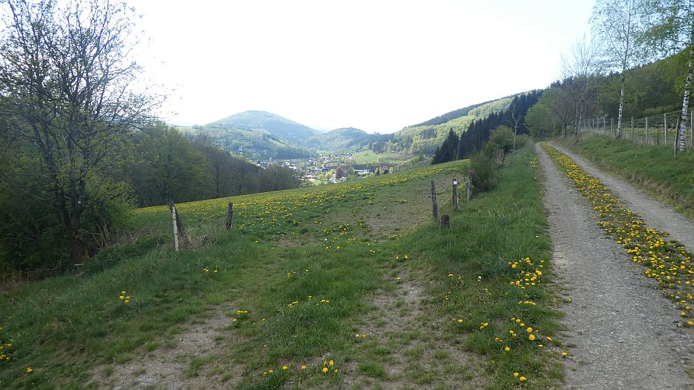 E1 Marsberg bis Schweinsbühl 