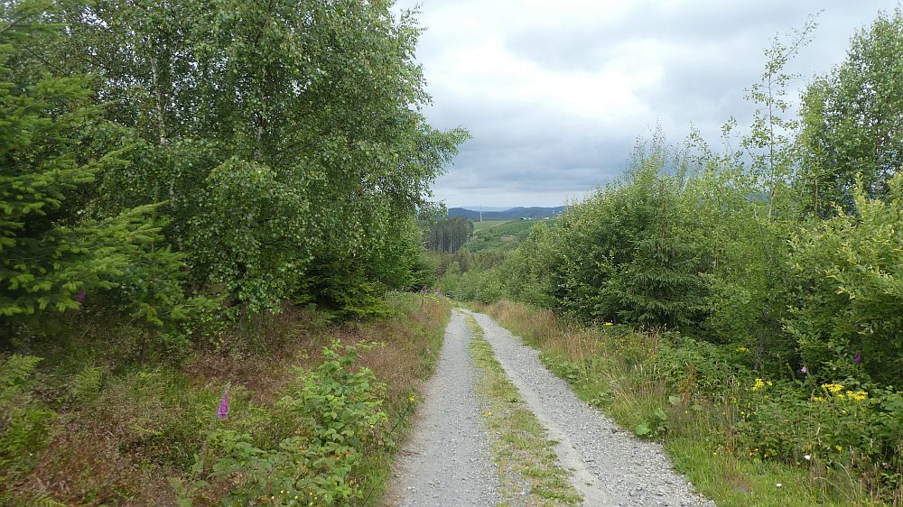 E1 Marsberg bis Schweinsbühl 