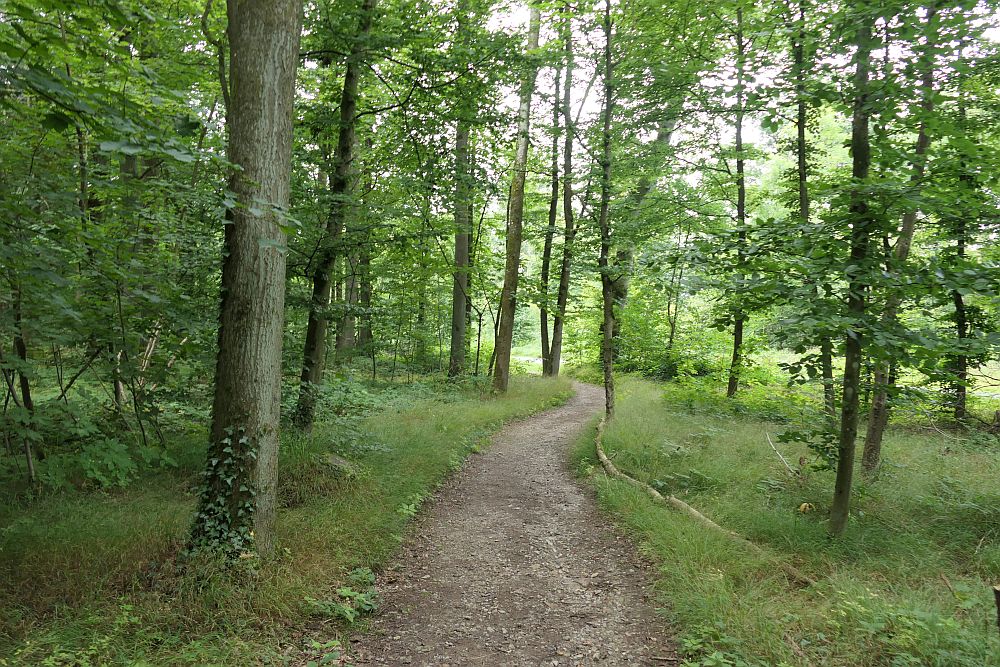E1 Steinhude bis Marsberg HSK