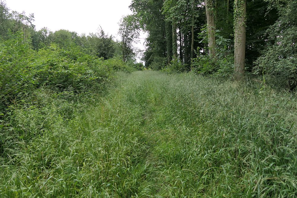 E1 Steinhude bis Marsberg HSK