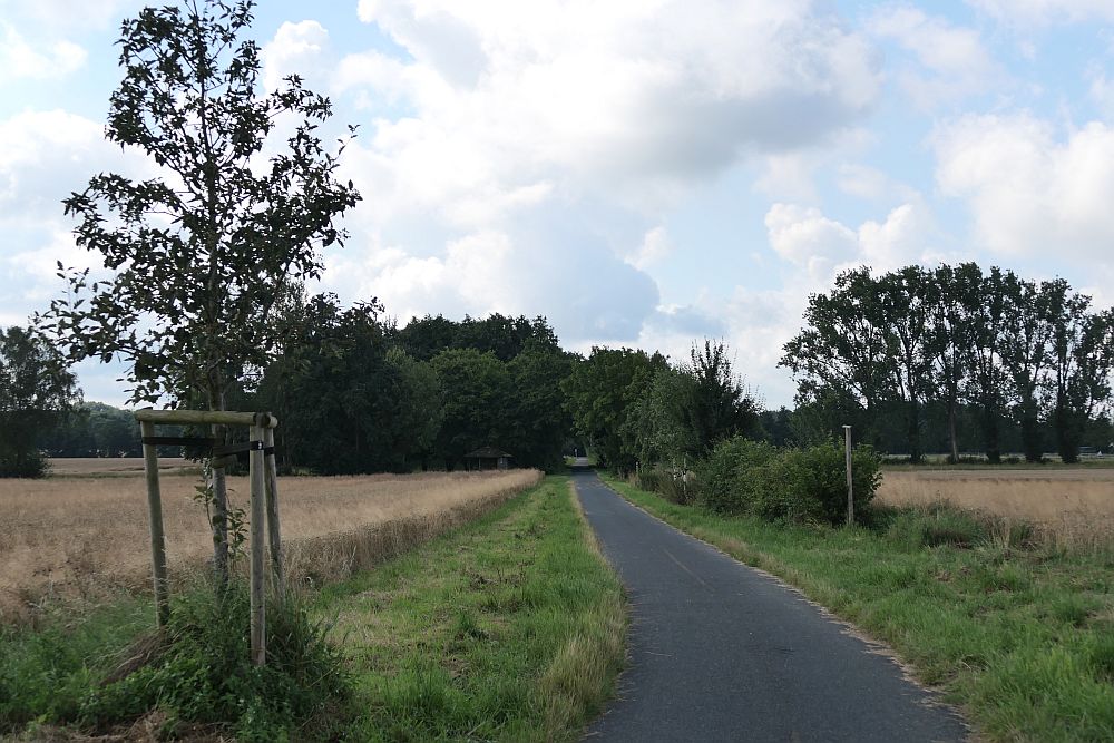 E1 Steinhude bis Marsberg HSK