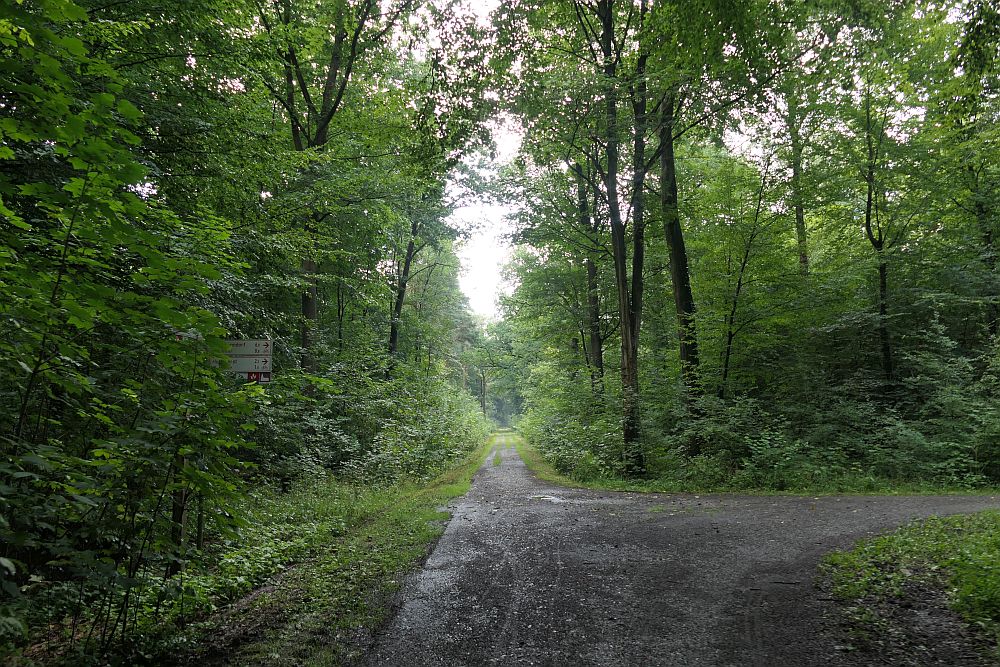 E1 Steinhude bis Marsberg HSK