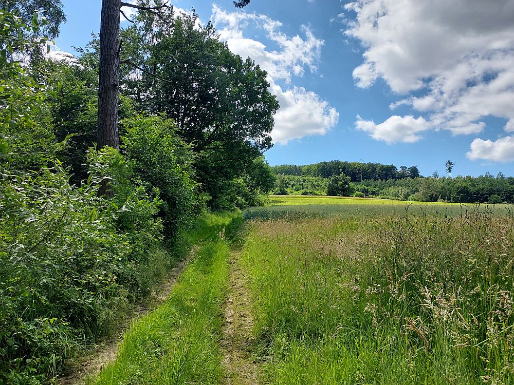 E1 Steinhude bis Marsberg HSK