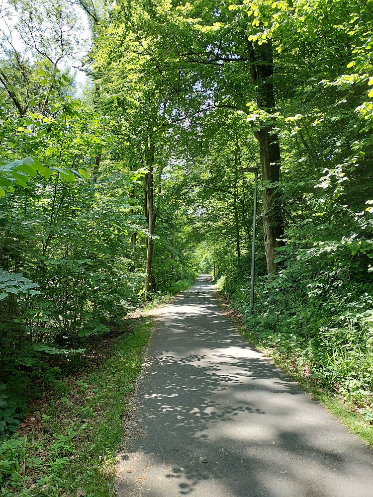 E1 Steinhude bis Marsberg HSK