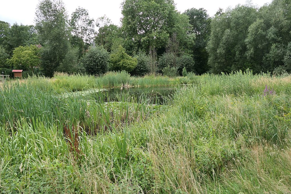 E1 Steinhude bis Marsberg HSK