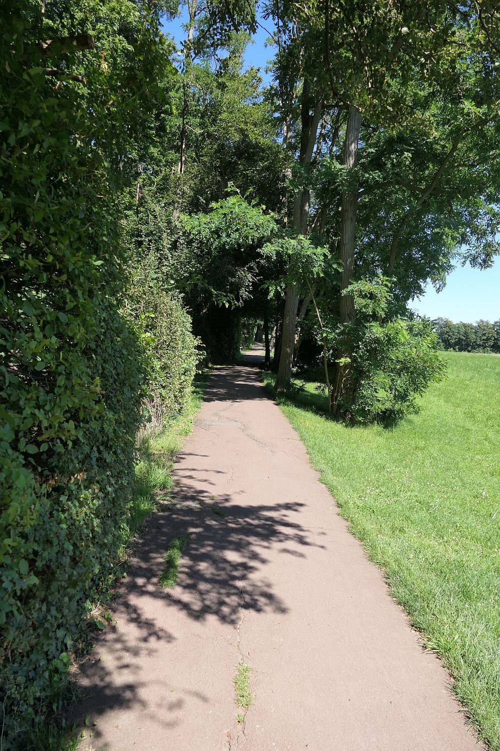 E1 Steinhude bis Marsberg HSK