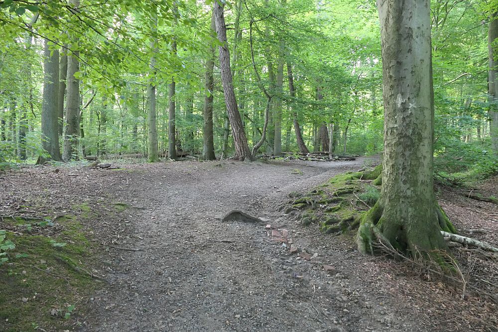 E1 Steinhude bis Marsberg HSK