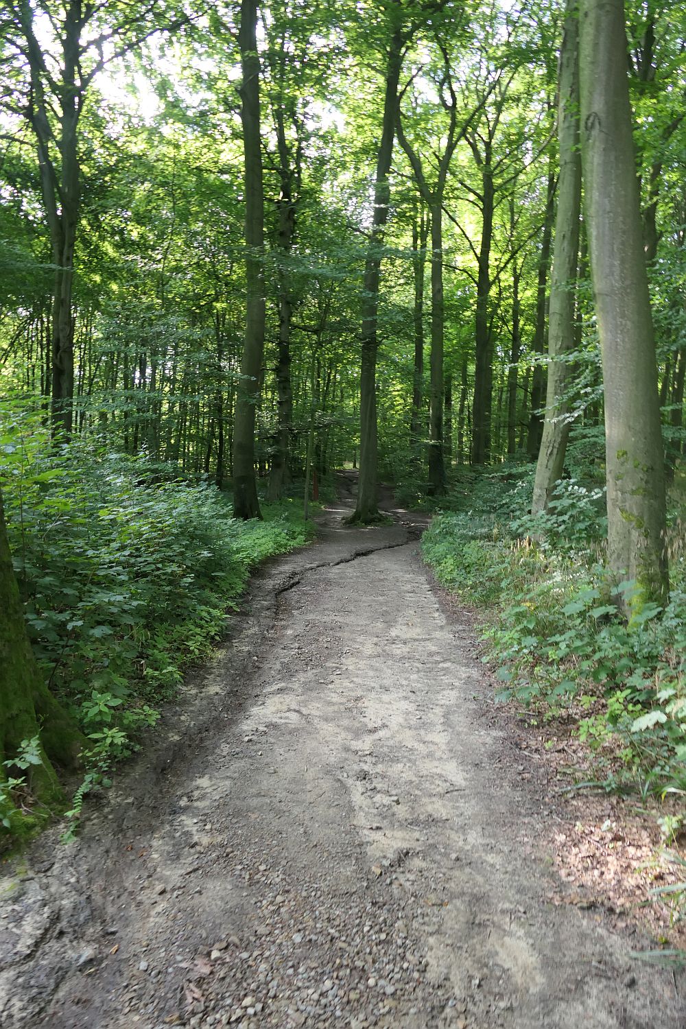 E1 Steinhude bis Marsberg HSK