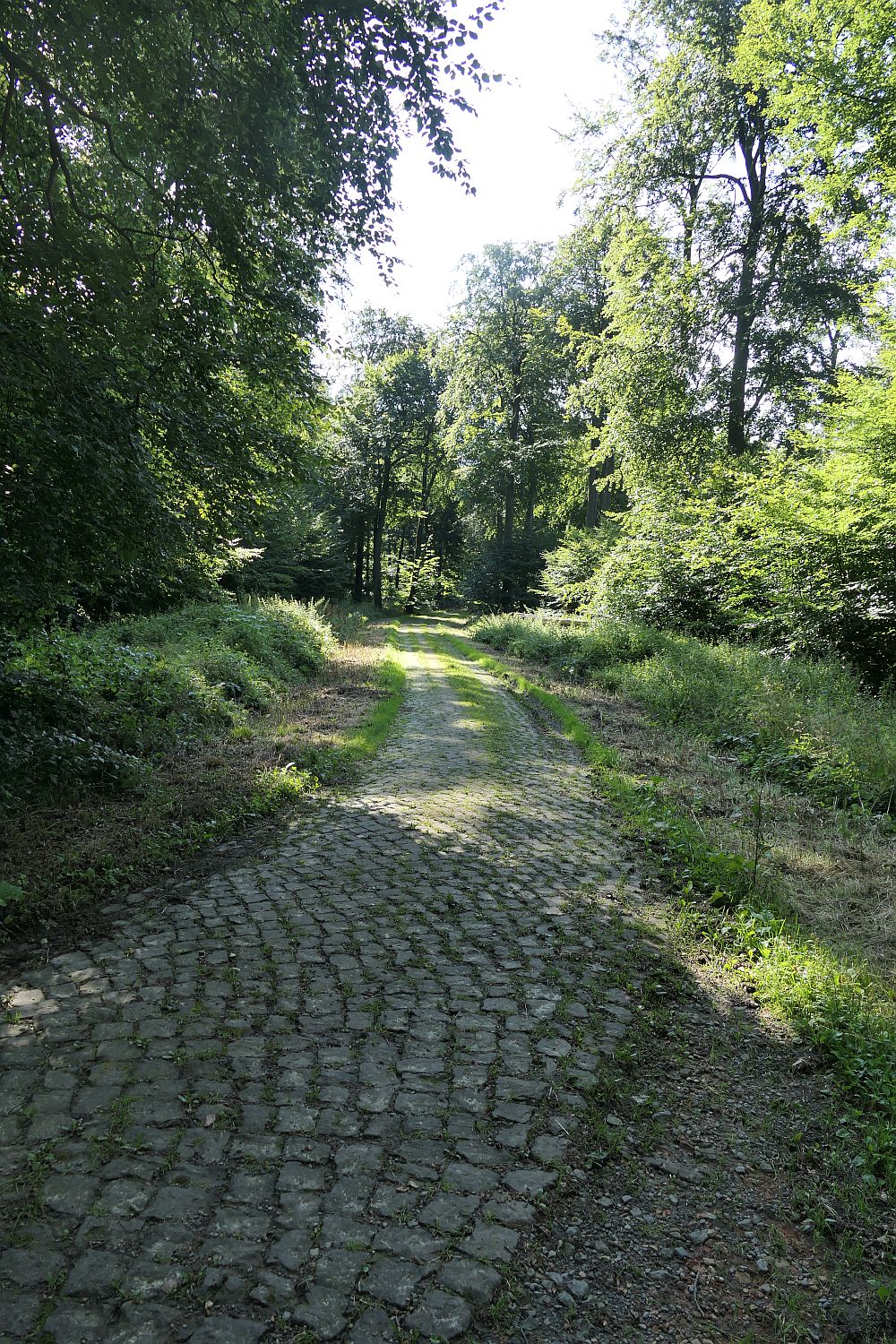 E1 Steinhude bis Marsberg HSK