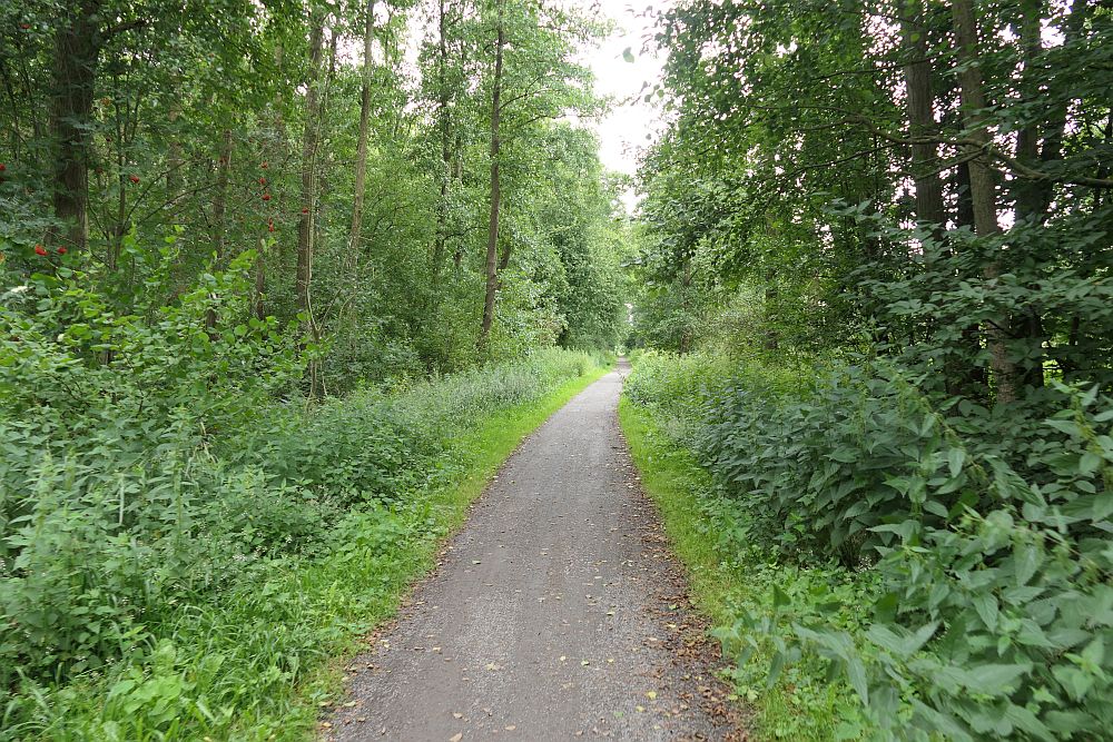 E1 Steinhude bis Marsberg HSK