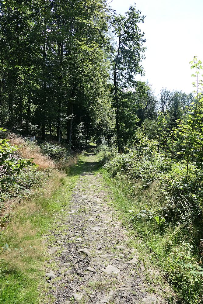 E1 Steinhude bis Marsberg HSK