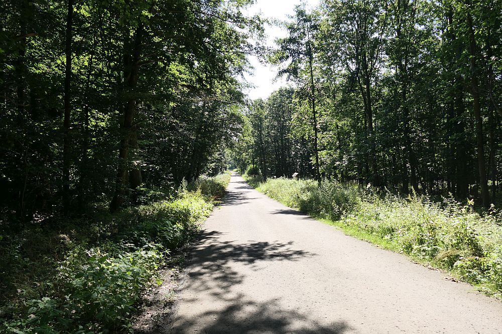 E1 Steinhude bis Marsberg HSK
