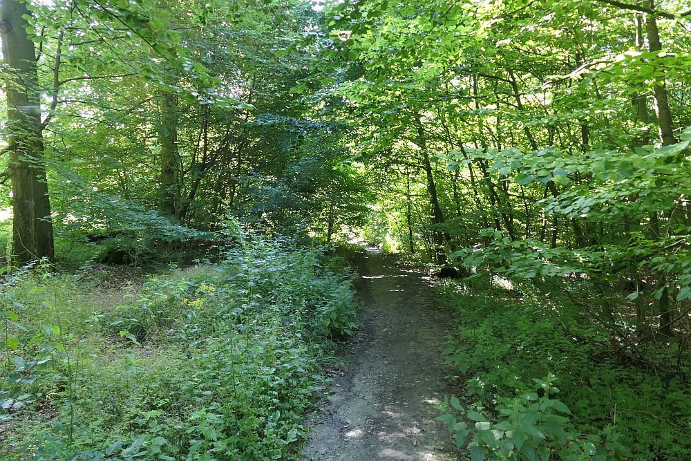 E1 Steinhude bis Marsberg HSK