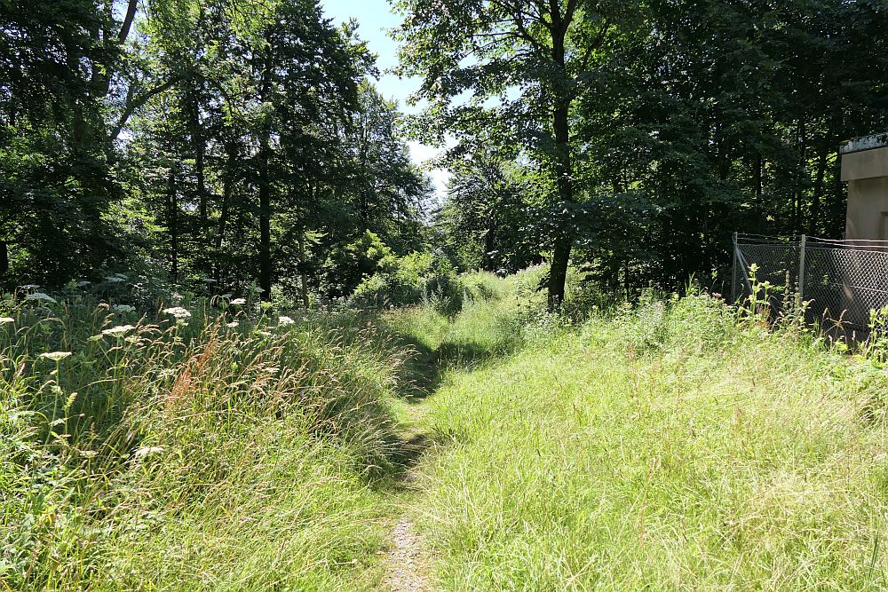 E1 Steinhude bis Marsberg HSK