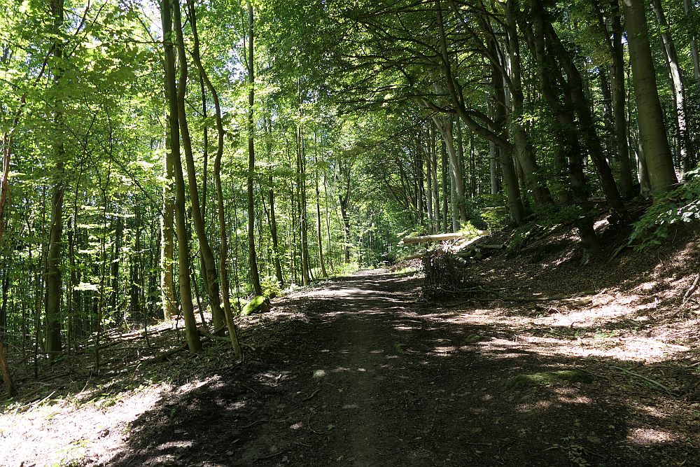 E1 Steinhude bis Marsberg HSK