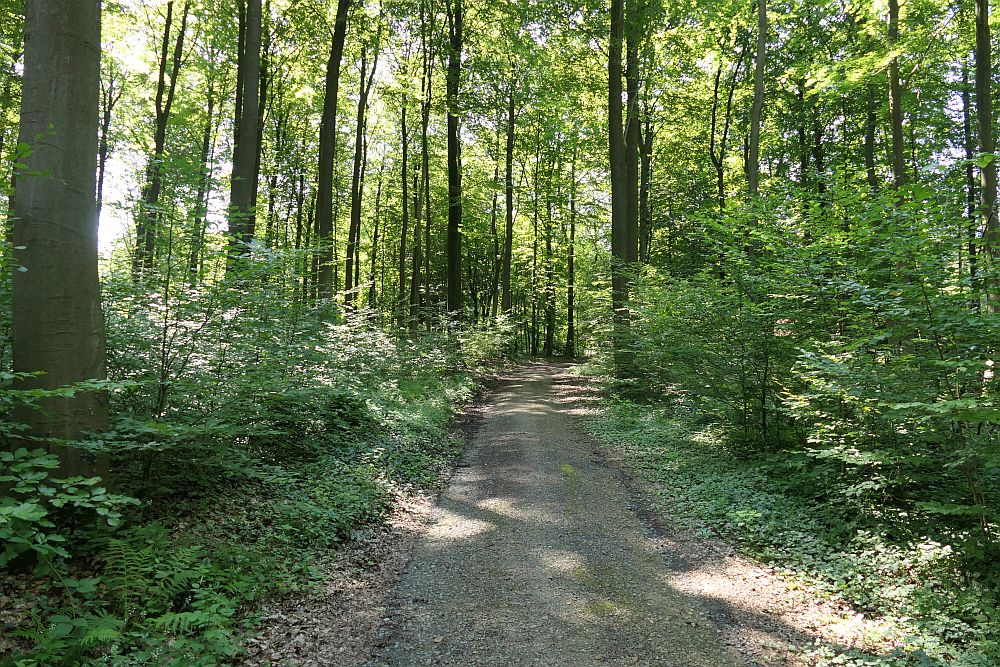 E1 Steinhude bis Marsberg HSK