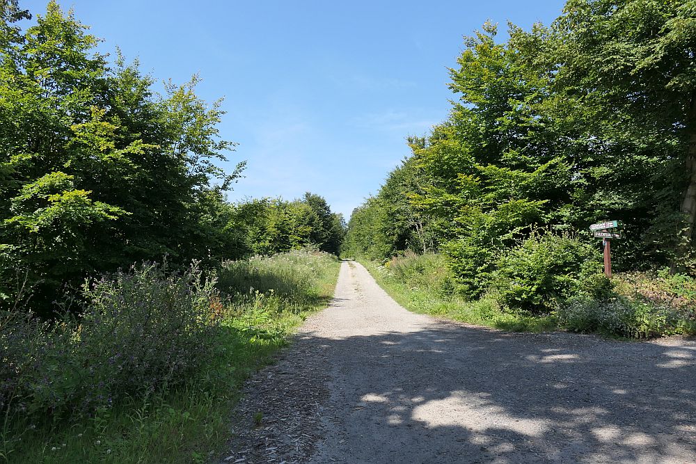 E1 Steinhude bis Marsberg HSK