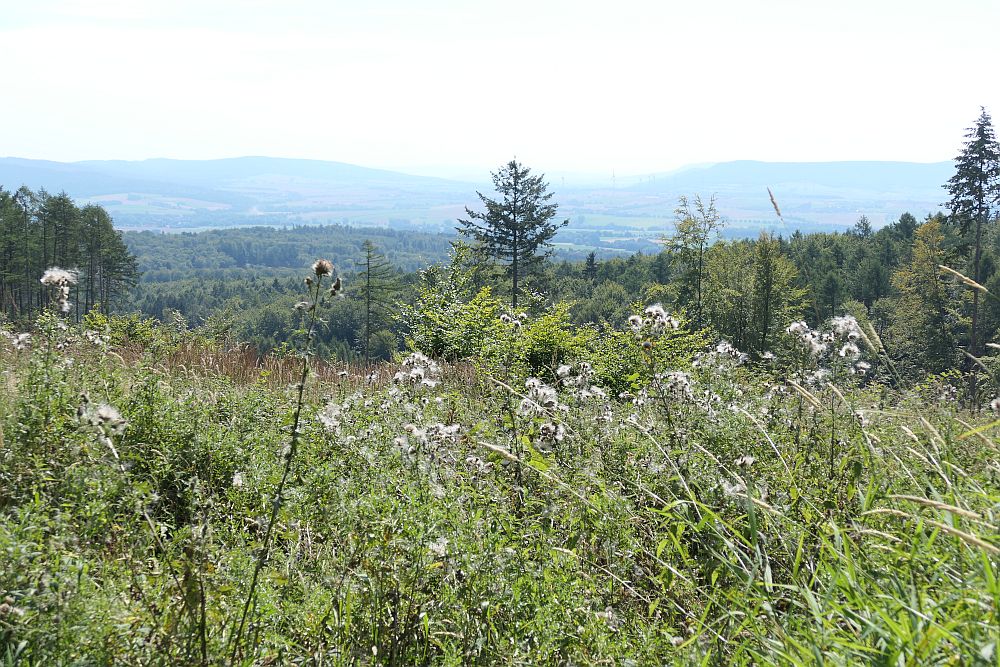 E1 Steinhude bis Marsberg HSK