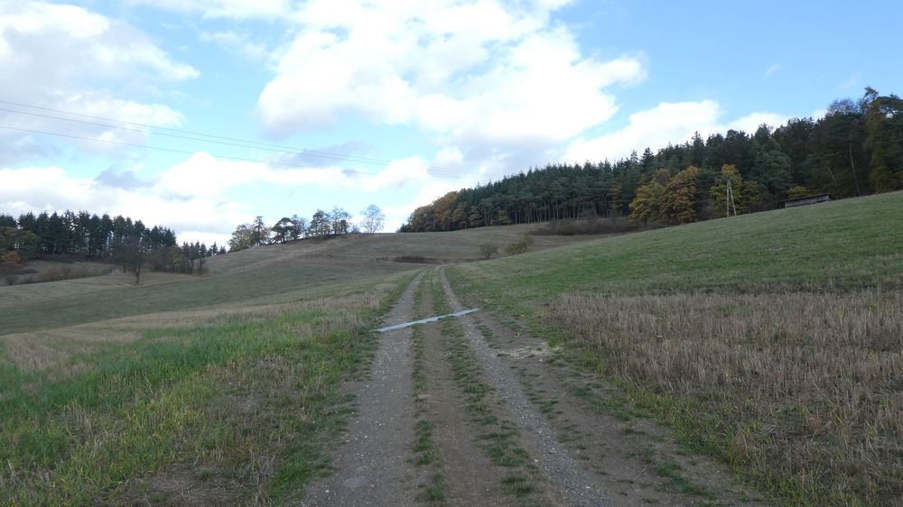 Urwaldsteig