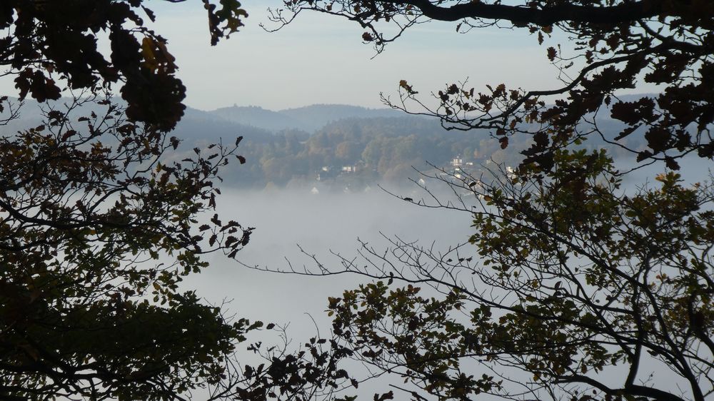 Urwaldsteig