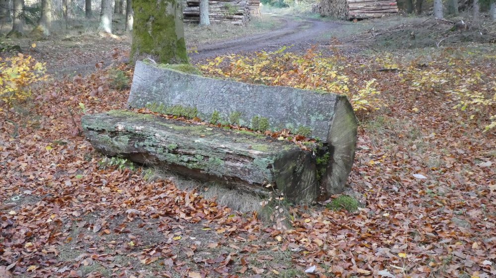 Urwaldsteig