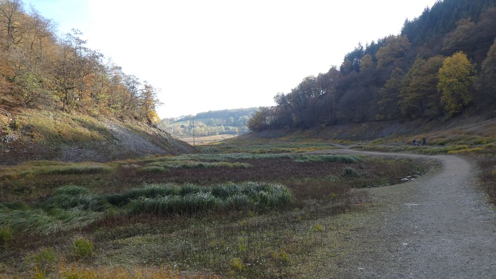 Urwaldsteig
