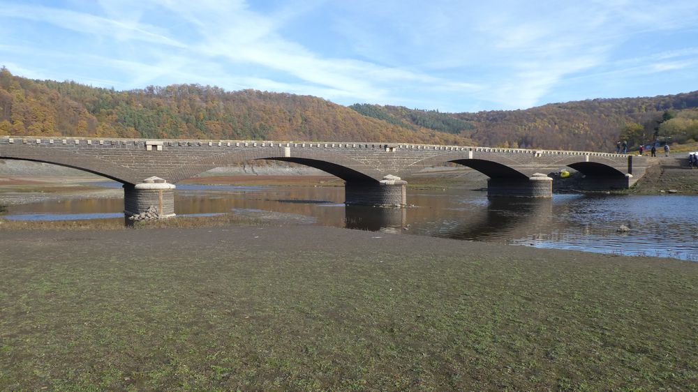 Urwaldsteig