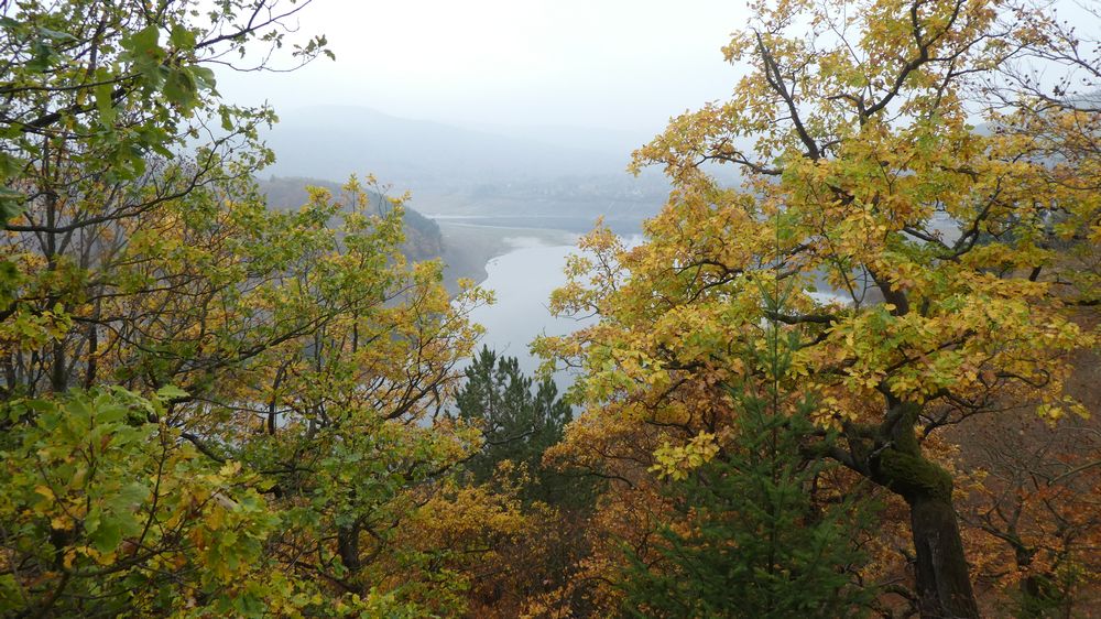 Urwaldsteig