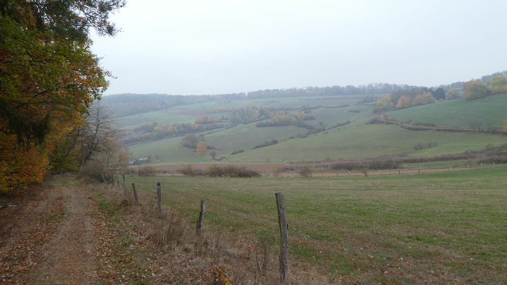 Urwaldsteig