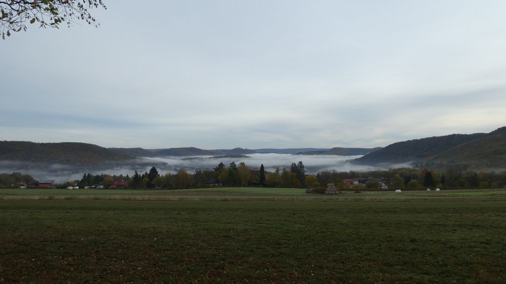 Urwaldsteig