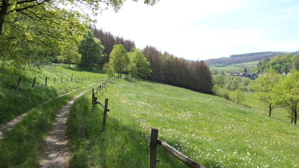 Ederhoehenweg