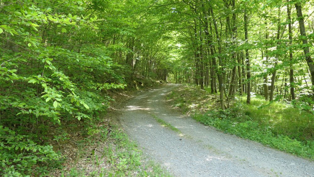 Ederhoehenweg