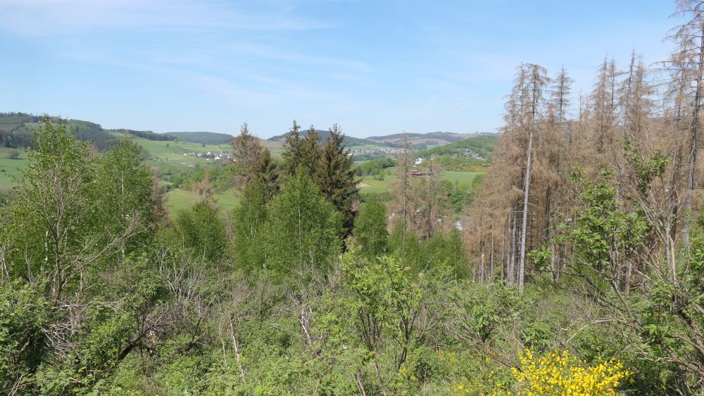 Ederhoehenweg