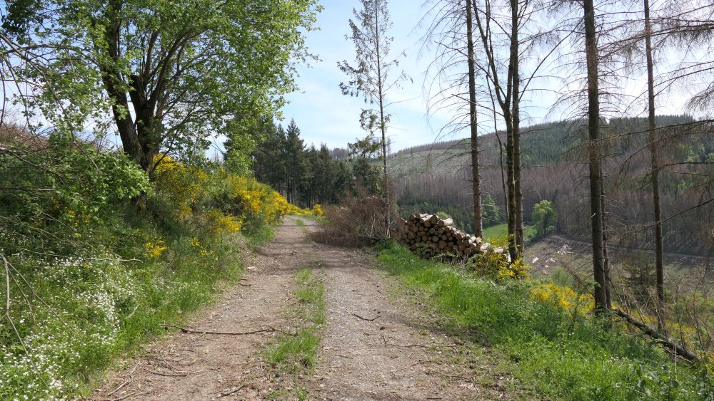 Ederhoehenweg
