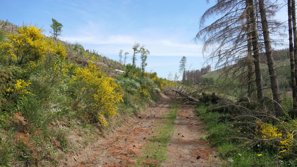Ederhoehenweg