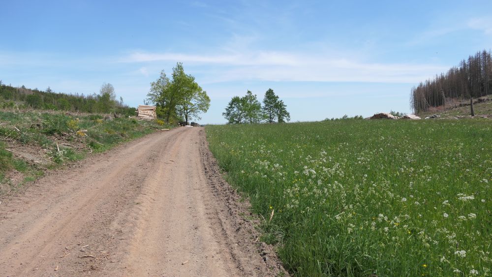 Ederhoehenweg