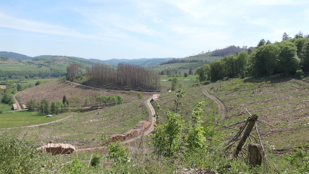 Ederhoehenweg