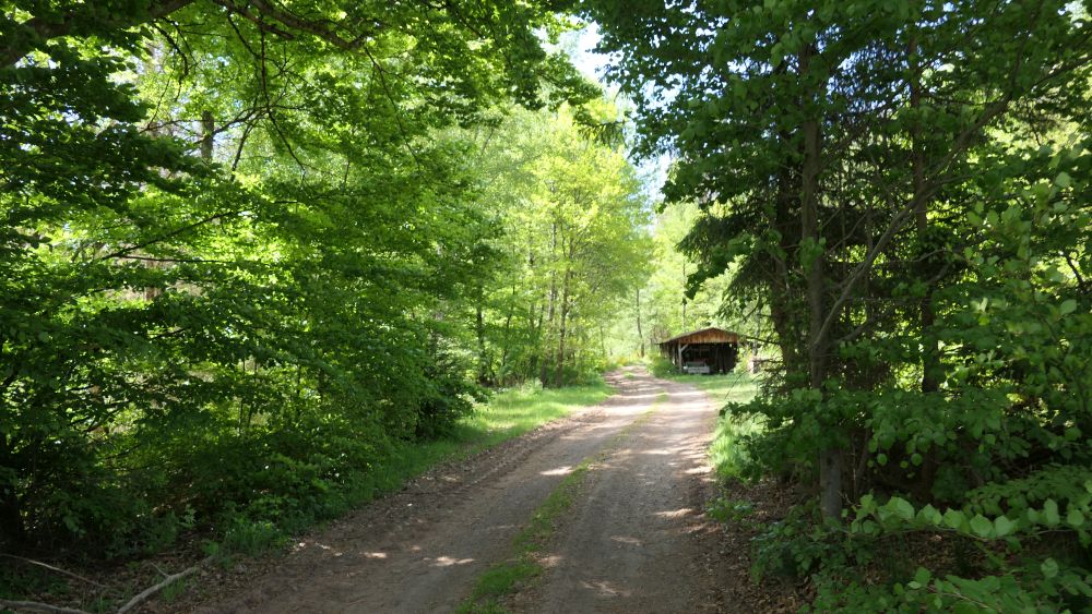 Ederhoehenweg