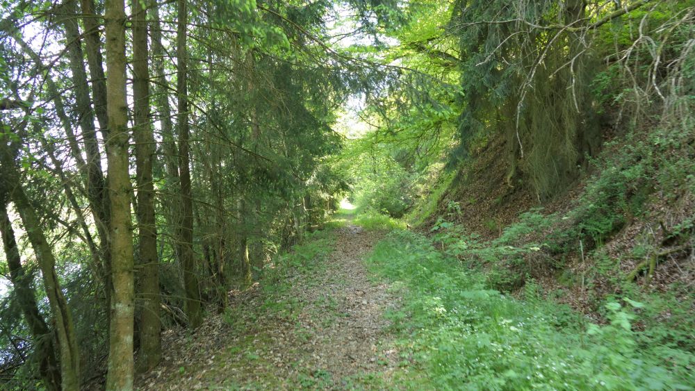 Ederhoehenweg
