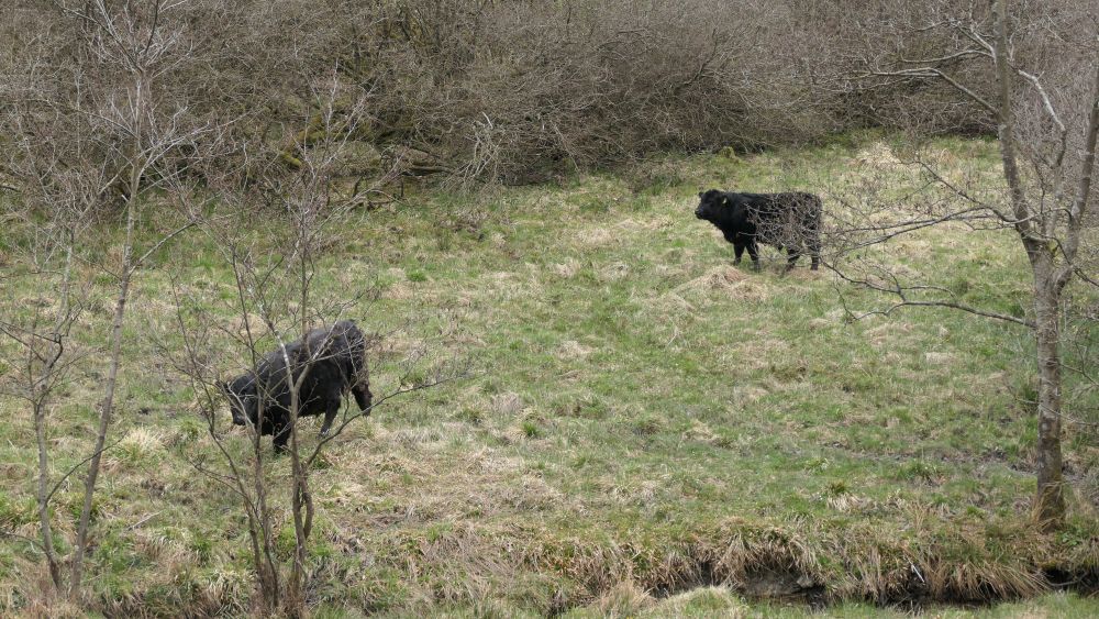 Ederhoehenweg