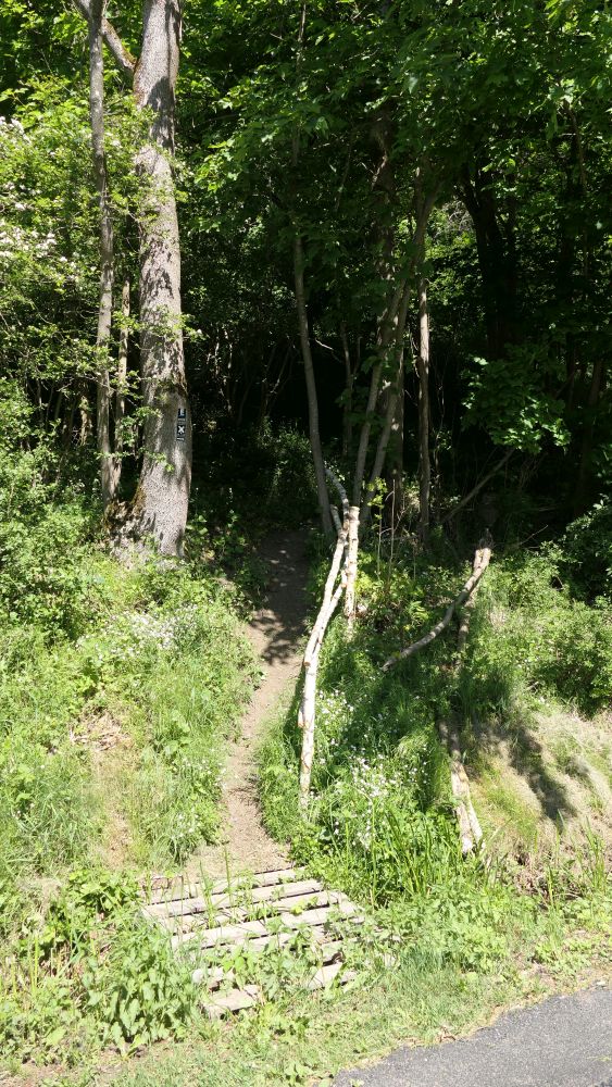 Ederhoehenweg