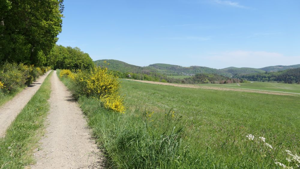 Ederhoehenweg