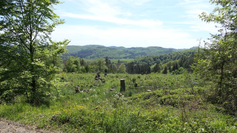 Ederhoehenweg